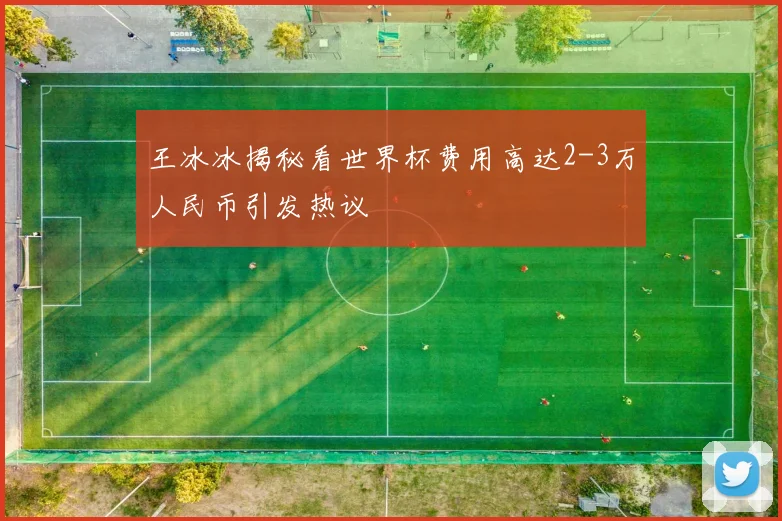 王冰冰揭秘看世界杯费用高达2-3万人民币引发热议